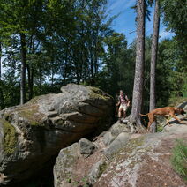 Der Riesenstein bei Heimarshausen, ein Pilzfelsen aus 245 Millionen Jahre altem Sandstein, wurde aufgrund seines geologischen und archäologischen Werts sowie seiner guten Zugänglichkeit als Geotop des Jahres 2021 ausgewählt.