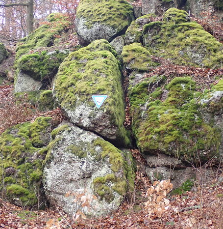 Die Wichtelsteine wurden 2023 zum Geotop des Jahres gewählt und sind ein geologisches Naturdenkmal, dessen Grauwacken-Konglomerat-Felsformationen vor 340 Millionen Jahren im Unterkarbon aus Sedimenten eines tropischen Meeres entstanden sind.