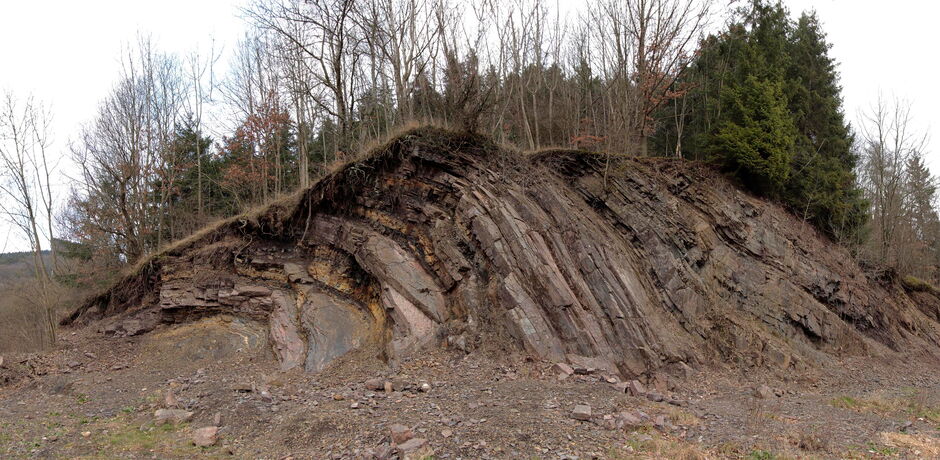 Der Steinbruch auf dem geologischen Rundweg Medebach-Düdinghausen.