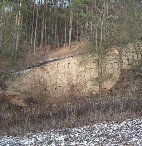 Die Buhlenfundstelle am Edersee ist eine bedeutende archäologische Ausgrabungsstätte, an der Reste einer 80.000 Jahre alten Neandertaler-Jagdstation aus der letzten Eiszeit gefunden wurden.