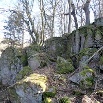 Die Wichtelsteine wurden 2023 zum Geotop des Jahres gewählt und sind ein geologisches Naturdenkmal, dessen Grauwacken-Konglomerat-Felsformationen vor 340 Millionen Jahren im Unterkarbon aus Sedimenten eines tropischen Meeres entstanden sind.