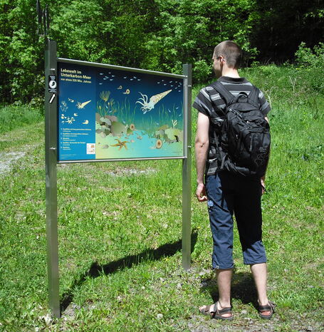 Eine Infotafel zur Lebewelt im unterkarbon-Meer.