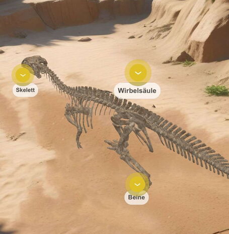 Das Skelett eines Iguanodonten mit Beschreibungen in der App.
