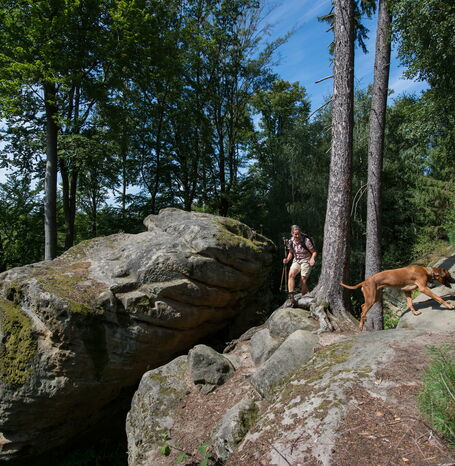 Der Riesenstein bei Heimarshausen, ein Pilzfelsen aus 245 Millionen Jahre altem Sandstein, wurde aufgrund seines geologischen und archäologischen Werts sowie seiner guten Zugänglichkeit als Geotop des Jahres 2021 ausgewählt.