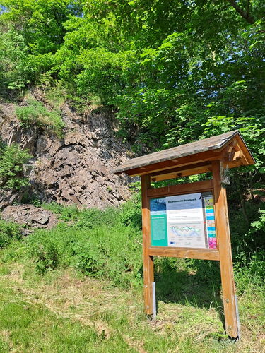 Der Steinbruch mit Infotafel auf dem geologischen Rundweg Medebach-Düdinghausen.