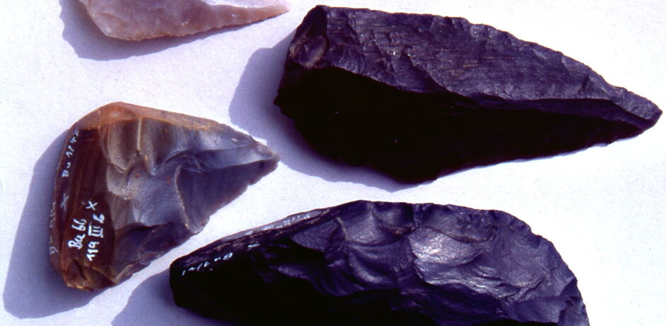 Artefakte der Ur- und Frühgeschichte im Stadtmuseum in Bad Wildungen.