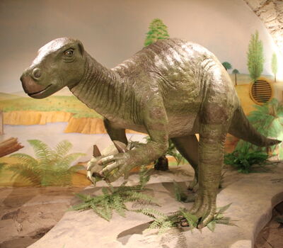 Der Iguanodon lebte in der frühen Kreidezeit (vor 145 Millionen Jahren) und wurde aufgrund seiner Häufigkeit "Kuh der Dinosaurierzeit" genannt.