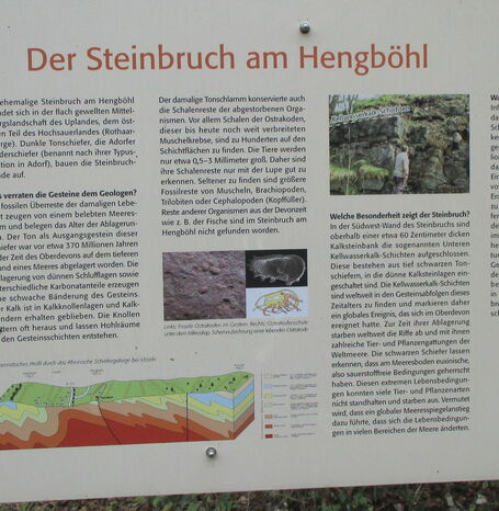 Die Geo-Station am Hengböhl bietet anschauliche Informationen über die Geologie sowie natur-und kulturlandschaftliche Besonderheiten in kompakter Form.