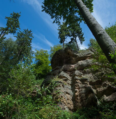 Der Riesenstein bei Heimarshausen, ein Pilzfelsen aus 245 Millionen Jahre altem Sandstein, wurde aufgrund seines geologischen und archäologischen Werts sowie seiner guten Zugänglichkeit als Geotop des Jahres 2021 ausgewählt.
