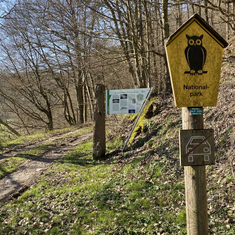 Die Schleifspuren in Frebershausen sind 320 Millionen Jahre alte Spurenfossilien von Pflanzenresten in verfestigtem Meeresbodenschlick, die durch Steinbrucharbeiten freigelegt wurden und heute vom Zerfall bedroht sind, weshalb sie für den Geopark GrenzWel