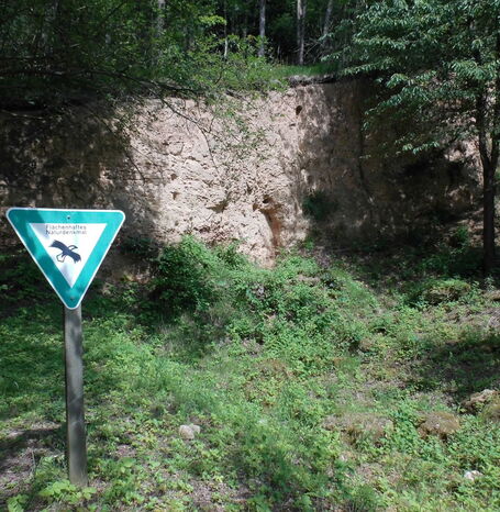 Die Buhlenfundstelle am Edersee ist eine bedeutende archäologische Ausgrabungsstätte, an der Reste einer 80.000 Jahre alten Neandertaler-Jagdstation aus der letzten Eiszeit gefunden wurden.