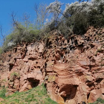 Der Dohlenfelsen bei Frankenberg (Eder) besteht überwiegend aus rötlichen Feinsandsteinen und war Geotop des Jahres 2018.