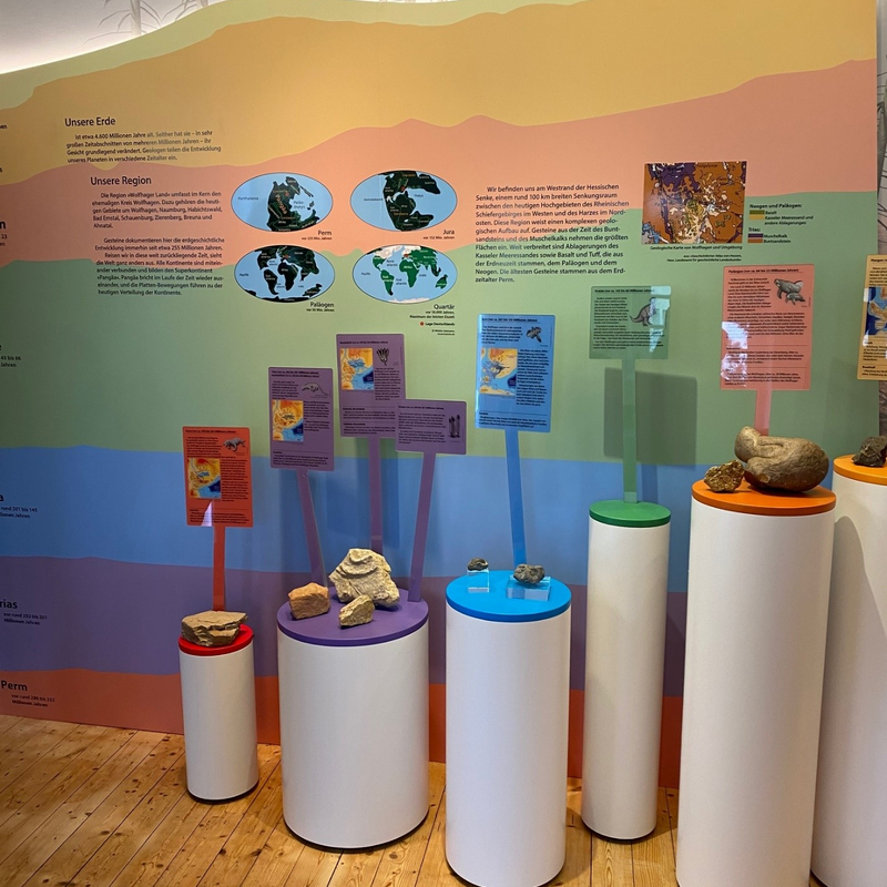 Das Regionalmuseum des Wolfhager Landes zeigt dessen Geologie und Geschichte. Schwerpunkte sind eine Fachwerk-Abteilung, die Spuren und ein Modell der Chirotherien-Saurier und die Staden-Abteilung.