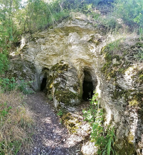 Die Wichtellöcher sind zwei durch Auswaschung entstandene Kalk- und Mergelhöhlen aus dem Muschelkalk (ca. 242-235 Millionen Jahre alt), die der Sage nach als Stolleneingänge für Wichtel dienten und als Geotop des Jahres 2022 ausgezeichnet wurden.