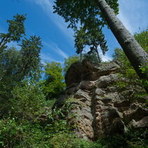 Der Riesenstein bei Heimarshausen, ein Pilzfelsen aus 245 Millionen Jahre altem Sandstein, wurde aufgrund seines geologischen und archäologischen Werts sowie seiner guten Zugänglichkeit als Geotop des Jahres 2021 ausgewählt.