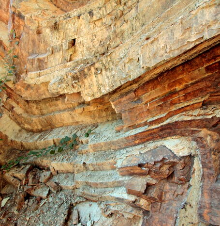 Der Steinbruch der Bergfreiheiter Welle zeigt die 300 Millionen Jahre alten Gesteinsschichten, die durch tektonische Kräfte aufgefaltet wurden.