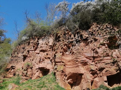 Der Dohlenfelsen bei Frankenberg (Eder) besteht überwiegend aus rötlichen Feinsandsteinen und war Geotop des Jahres 2018.