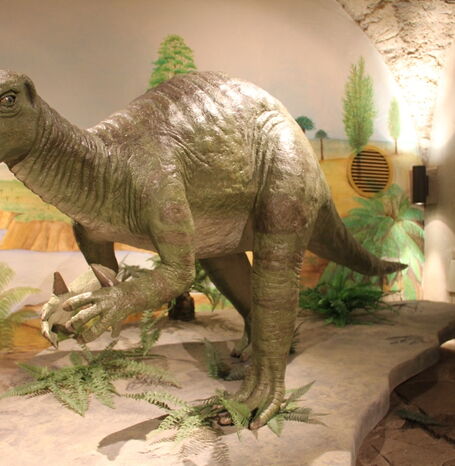 Der Iguanodon lebte in der frühen Kreidezeit (vor 145 Millionen Jahren) und wurde aufgrund seiner Häufigkeit "Kuh der Dinosaurierzeit" genannt.