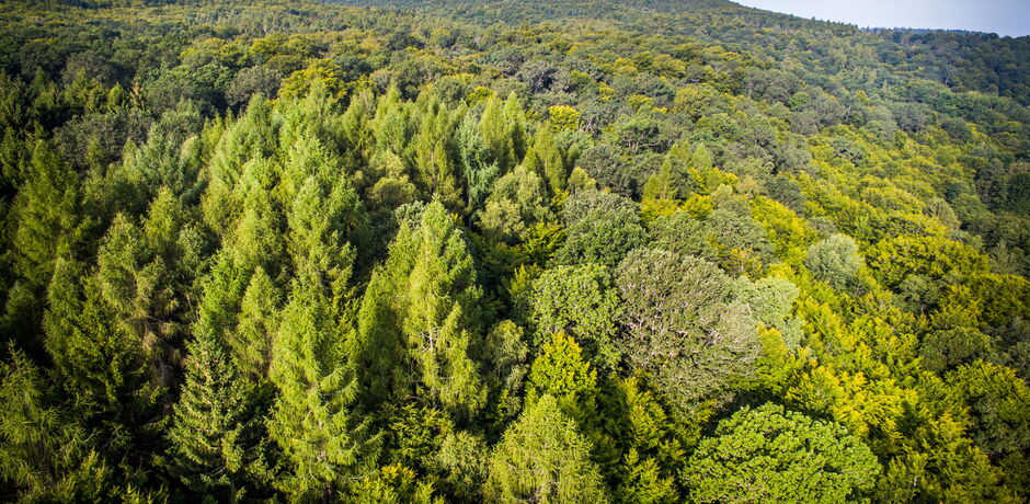 Der Nationalpark Kellerwald-Edersee aus der Vogelperspektive.