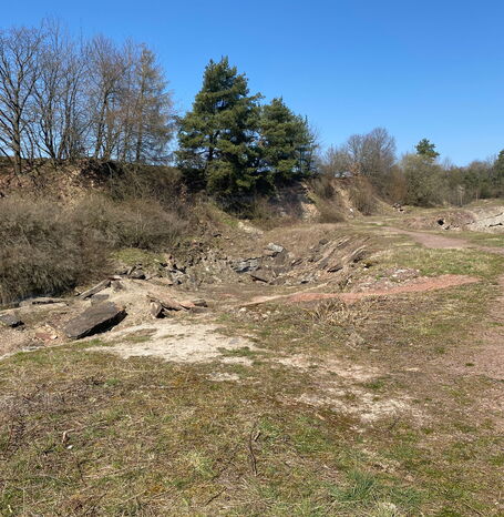 Im Steinbruch Hohenäcker befinden sich Gesteinsschichten, die bis zu 255 Millionen Jahre alt sind. Diese repräsentieren den ständigen Wechsel zwischen Landoberfläche und Meeresraum im Oberperm.