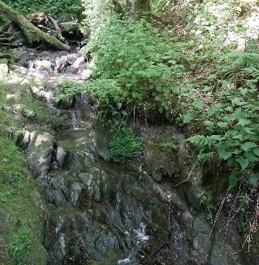 Der Brückenschluchtpfad in Winterberg.