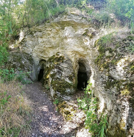 Die Wichtellöcher sind zwei durch Auswaschung entstandene Kalk- und Mergelhöhlen aus dem Muschelkalk (ca. 242-235 Millionen Jahre alt), die der Sage nach als Stolleneingänge für Wichtel dienten und als Geotop des Jahres 2022 ausgezeichnet wurden.