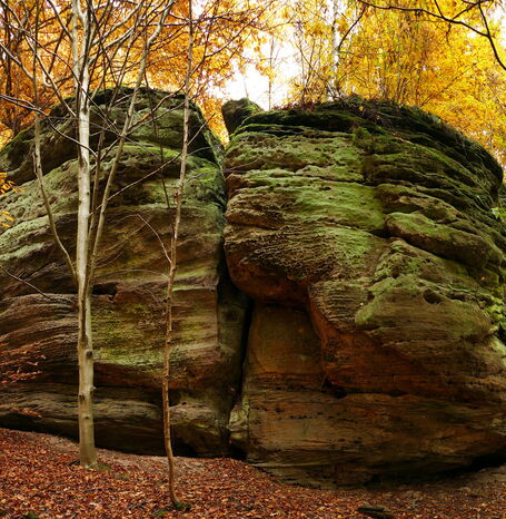 Der Bilstein ist ein besonderes Naturschutzgebiet.