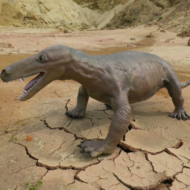 Der Korbacher Dackel lebte in der Zeit des Zechsteins (vor 258 Millionen Jahren) und bildete stammesgeschichtlich eine Brücke zwischen den Reptilien und den Säugetieren.