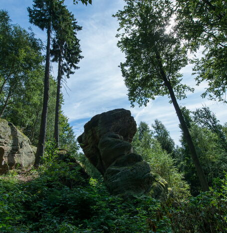 Der Riesenstein bei Heimarshausen, ein Pilzfelsen aus 245 Millionen Jahre altem Sandstein, wurde aufgrund seines geologischen und archäologischen Werts sowie seiner guten Zugänglichkeit als Geotop des Jahres 2021 ausgewählt.