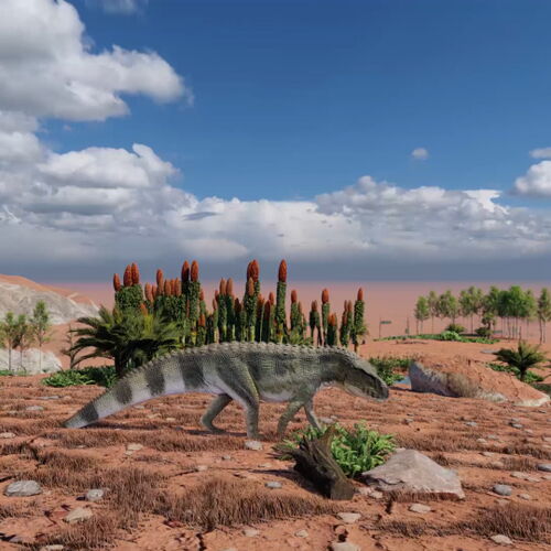 Die Darstellung des Wolfhager Zechsteins in der App.