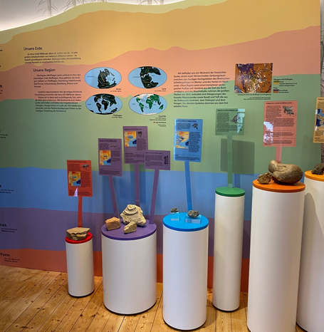 Das Regionalmuseum des Wolfhager Landes zeigt dessen Geologie und Geschichte. Schwerpunkte sind eine Fachwerk-Abteilung, die Spuren und ein Modell der Chirotherien-Saurier und die Staden-Abteilung.