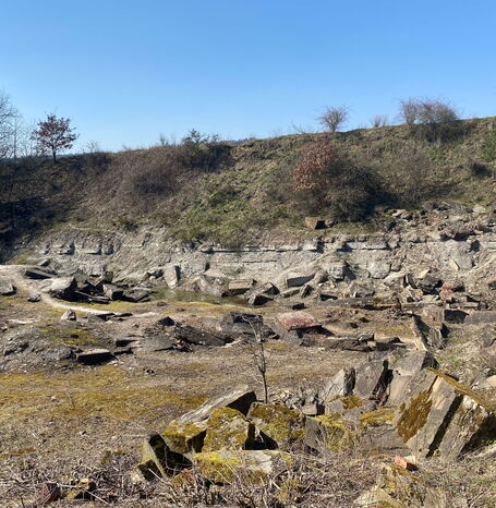 Im Steinbruch Hohenäcker befinden sich Gesteinsschichten, die bis zu 255 Millionen Jahre alt sind. Diese repräsentieren den ständigen Wechsel zwischen Landoberfläche und Meeresraum im Oberperm.