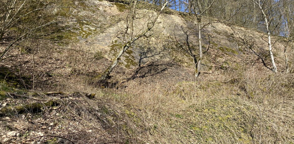 Die Schleifspuren in Frebershausen sind 320 Millionen Jahre alte Spurenfossilien von Pflanzenresten in verfestigtem Meeresbodenschlick, die durch Steinbrucharbeiten freigelegt wurden und heute vom Zerfall bedroht sind, weshalb sie für den Geopark GrenzWel