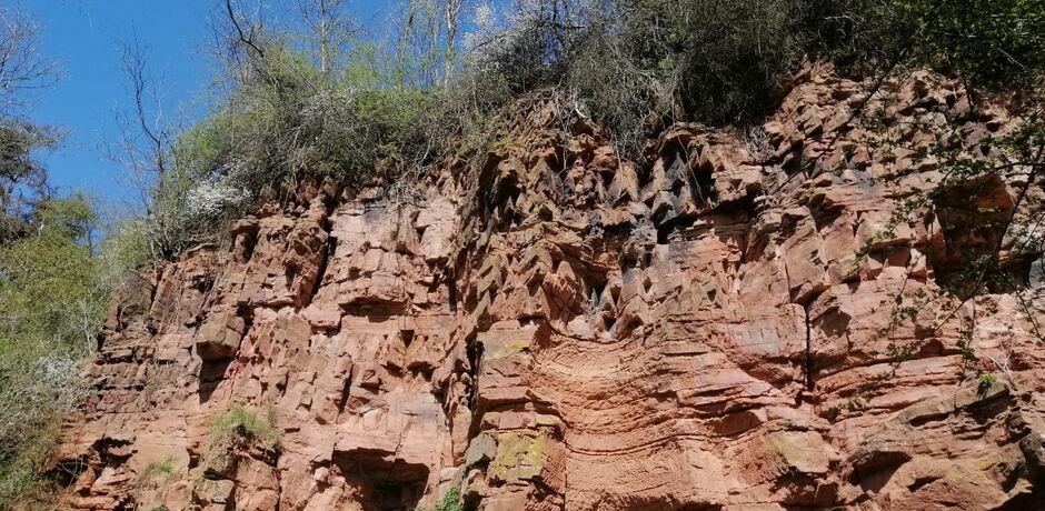 Der Dohlenfelsen bei Frankenberg (Eder) besteht überwiegend aus rötlichen Feinsandsteinen und war Geotop des Jahres 2018.
