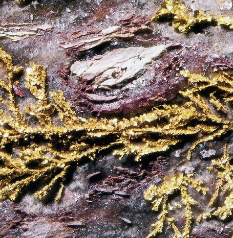 Goldader im Gestein.