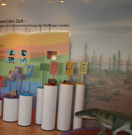 Das Regionalmuseum des Wolfhager Landes zeigt dessen Geologie und Geschichte. Schwerpunkte sind eine Fachwerk-Abteilung, die Spuren und ein Modell der Chirotherien-Saurier und die Staden-Abteilung.