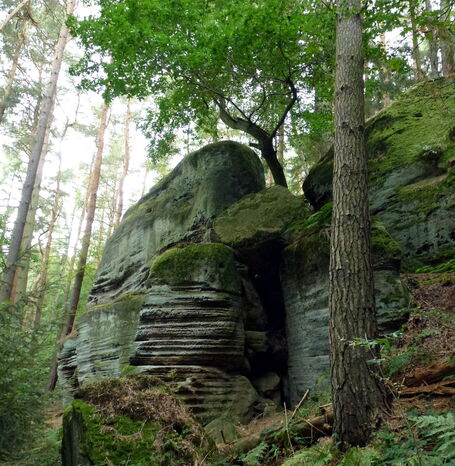 Der Tentenberg ist 271 Meter ü. NN hoch und befindet sich in der Nähe des Sandsteinportals der Hollenkammer.