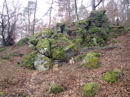 Die Wichtelsteine wurden 2023 zum Geotop des Jahres gewählt und sind ein geologisches Naturdenkmal, dessen Grauwacken-Konglomerat-Felsformationen vor 340 Millionen Jahren im Unterkarbon aus Sedimenten eines tropischen Meeres entstanden sind.