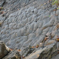 Die fossilen Wellenrippel am Edersee sind in einem Küstngebiet durch das Hin- und Herströmen des Wassers entstanden.