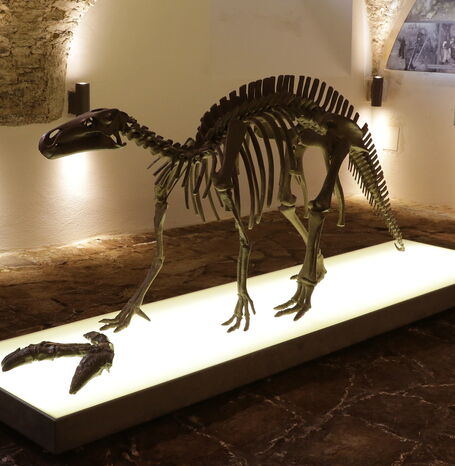 Ein detailliertes Skelett eines Dinosauriers, das auf einer beleuchteten Plattform ausgestellt ist