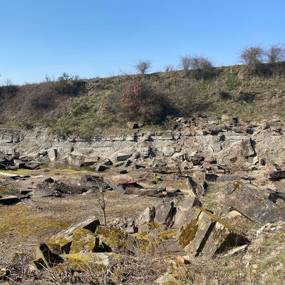 Im Steinbruch Hohenäcker befinden sich Gesteinsschichten, die bis zu 255 Millionen Jahre alt sind. Diese repräsentieren den ständigen Wechsel zwischen Landoberfläche und Meeresraum im Oberperm.