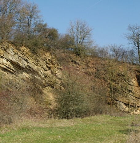 Der Steinbruch "Schmidt" war Geotop des Jahres 2017.