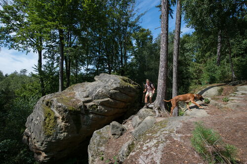 Der Riesenstein bei Heimarshausen, ein Pilzfelsen aus 245 Millionen Jahre altem Sandstein, wurde aufgrund seines geologischen und archäologischen Werts sowie seiner guten Zugänglichkeit als Geotop des Jahres 2021 ausgewählt.