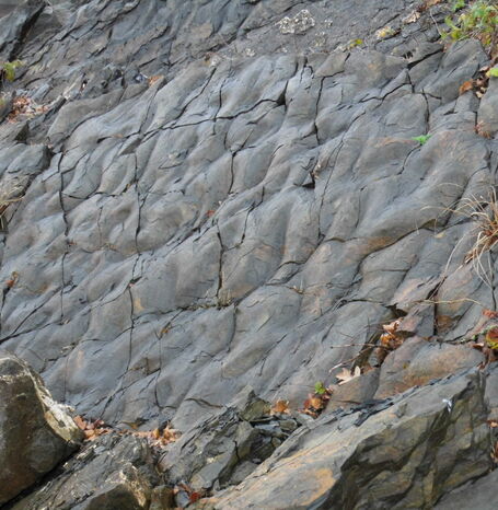 Die fossilen Wellenrippel am Edersee sind in einem Küstngebiet durch das Hin- und Herströmen des Wassers entstanden.
