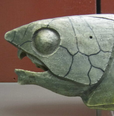 Panzerfische (Placodermi), die ältesten kiefertragenden Wirbeltiere, waren durch knöcherne Platten geschützt und entwickelten dank ihrer beweglichen Kiefer mit primitiven Zahnleisten eine neue Art der Nahrungsaufnahme.