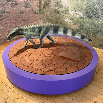 Die Wolfhager Urhandtiere (Protochirotherium wolfhagense) lebten vor rund 250 Millionen Jahren im Wolfhager Land