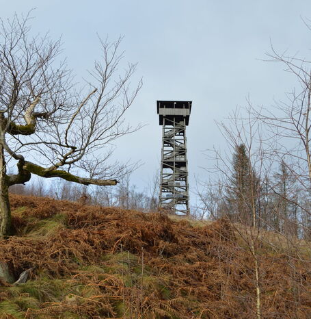 Auf 675m Höhe befindet sich am Gipfel der Kellerwaldroute der Kellerwaldturm.