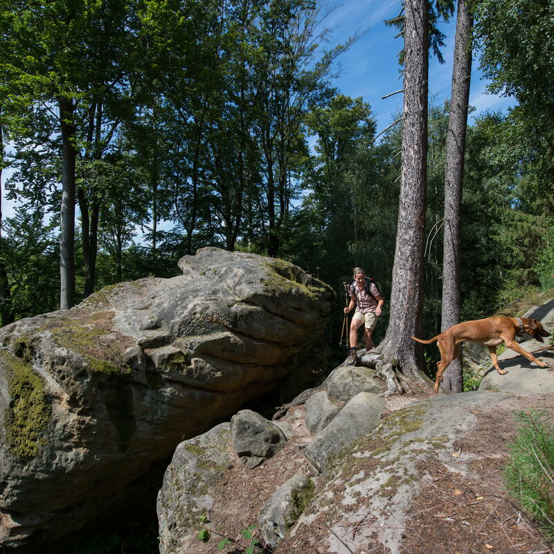 Der Riesenstein bei Heimarshausen, ein Pilzfelsen aus 245 Millionen Jahre altem Sandstein, wurde aufgrund seines geologischen und archäologischen Werts sowie seiner guten Zugänglichkeit als Geotop des Jahres 2021 ausgewählt.