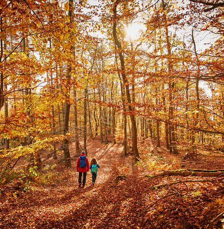 Zwei Wandernde auf dem Kelteweg.