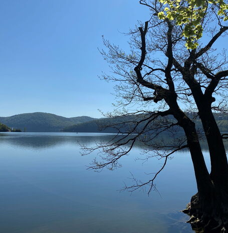 Der Edersee ist ein großer Stausee in Hessen, der für Stromerzeugung, Hochwasserschutz und Tourismus genutzt wird.
